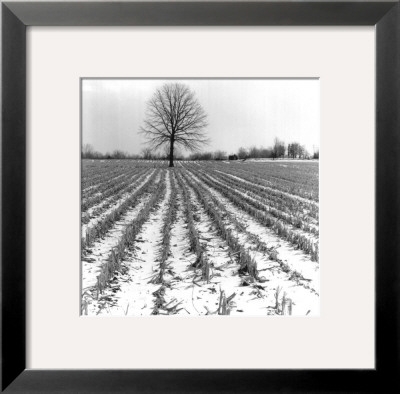 Simply Rows by Monte Nagler Pricing Limited Edition Print image
