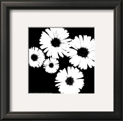 Black And White Asters Ii by Patti Socci Pricing Limited Edition Print image