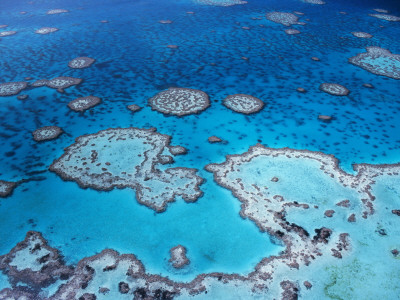 Aerial View Of Hardy Reef, Great Barrier Reef And Sea, Queensland, Australia by Jurgen Freund Pricing Limited Edition Print image