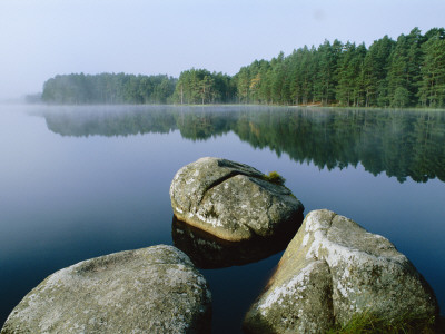 Loch Garten Rspb Reserve At Dawn, Highlands, Scotland, Uk by Pete Cairns Pricing Limited Edition Print image