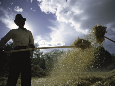 Man Working, Tibet by Michael Brown Pricing Limited Edition Print image