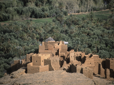 Oasis In Morocco by Michael Brown Pricing Limited Edition Print image