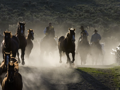 Cowboys Driving Horses At Sombrero Ranch, Craig, Colorado, Usa by Carol Walker Pricing Limited Edition Print image