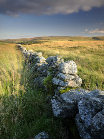 Dry Stone Wall And Moorland Grassland, Late Evening Light, Dartmoor Np, Devon, Uk. September 2008 by Ross Hoddinott Pricing Limited Edition Print image
