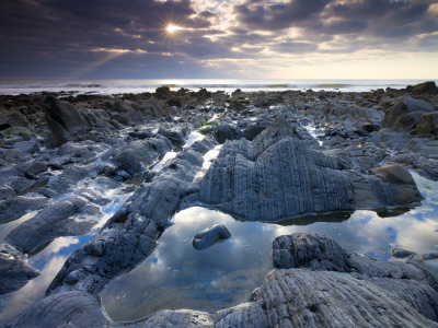 Rock Pools And Eroded Rocks Ledges At Sandymouth Bay In North Cornwall, England by Adam Burton Pricing Limited Edition Print image