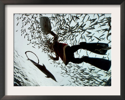 A Diver In A Santa Clause Costume Feeds Fish As Part Of A Christmas Event by Junji Kurokawa Pricing Limited Edition Print image