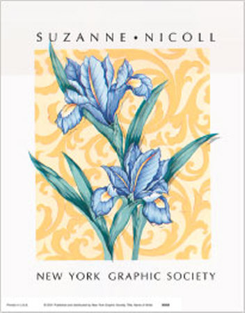 Iris by Suzanne Nicoll Pricing Limited Edition Print image