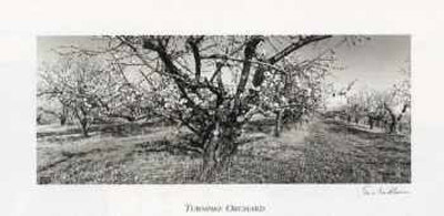 Turnpike Orchard by Eric Lindbloom Pricing Limited Edition Print image