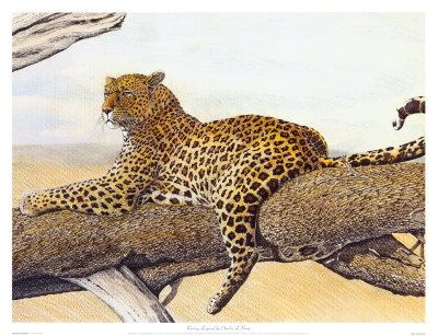 Resting Leopard by Charles L. Berry Pricing Limited Edition Print image
