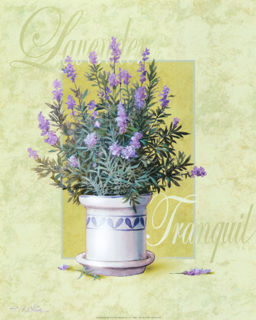 Lavender by T. C. Chiu Pricing Limited Edition Print image