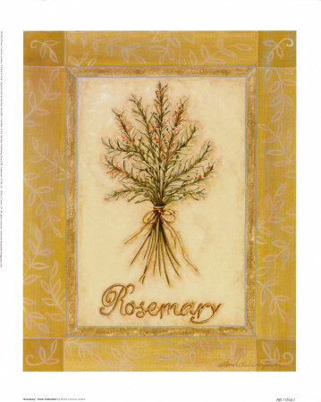 Rosemary, Herb Collection by Renee Charisse Jardine Pricing Limited Edition Print image