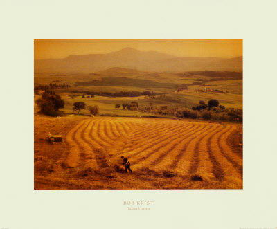 Tuscan Harvest by Bob Krist Pricing Limited Edition Print image