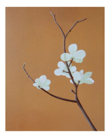 Blossom Iii by Anna Van Zwol Pricing Limited Edition Print image