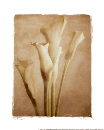 Poetica I by Amy Melious Pricing Limited Edition Print image