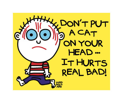 Don’T Put Cat On Head by Todd Goldman Pricing Limited Edition Print image
