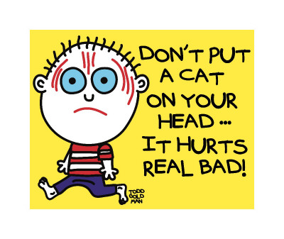 Don't Put Cat On Head by Todd Goldman Pricing Limited Edition Print image