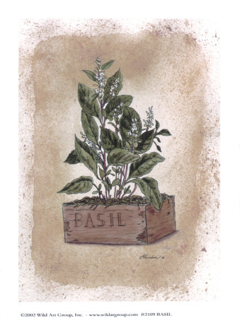 Basil by Consuelo Gamboa Pricing Limited Edition Print image