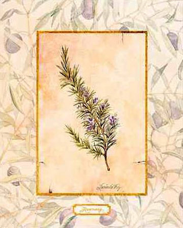 Rosemary by Lucinda Foy Pricing Limited Edition Print image