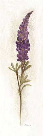 Blue Lupine by Consuelo Gamboa Pricing Limited Edition Print image