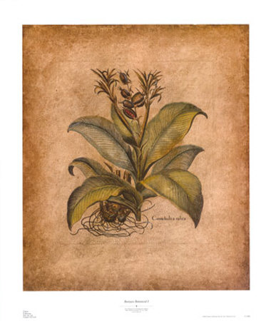 Banyan Botanical I by Liu Chang Pricing Limited Edition Print image