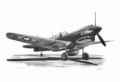 P-40 by David Gray Pricing Limited Edition Print image