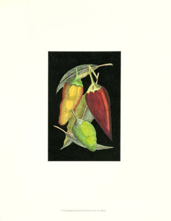 Hot Peppers Ii by Valentini Pricing Limited Edition Print image