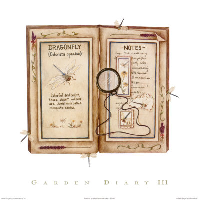 Garden Diary Iii by Rebecca Lach Pricing Limited Edition Print image