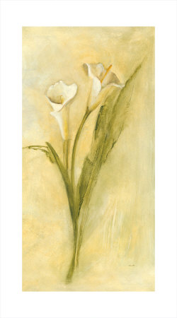 Graceful Calla Lilies I by Cheri Blum Pricing Limited Edition Print image