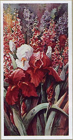 Iris Garden Ii by Rose Cravens Pricing Limited Edition Print image