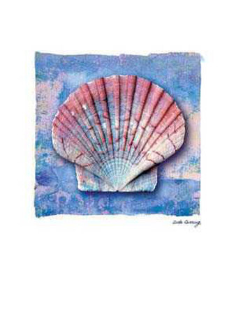 Pecten Maximus Lower by Anita Levering Pricing Limited Edition Print image