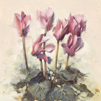 Cyclamen Floral by Paul Mathenia Pricing Limited Edition Print image