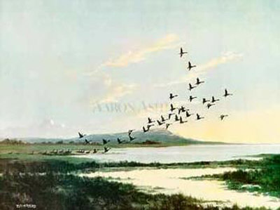 Greylags Taking Off by Wilfred Bailey Pricing Limited Edition Print image
