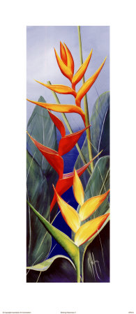 Striking Heliconias Ii by Karen Foley Pricing Limited Edition Print image