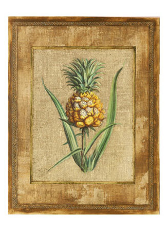 Pineapple Hospitality I by Zachary Alexander Pricing Limited Edition Print image