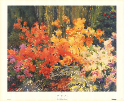 Azaleas, Giverny by M. H. Armstrong Pricing Limited Edition Print image