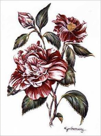 Winter Camellia by Kym Garraway Pricing Limited Edition Print image
