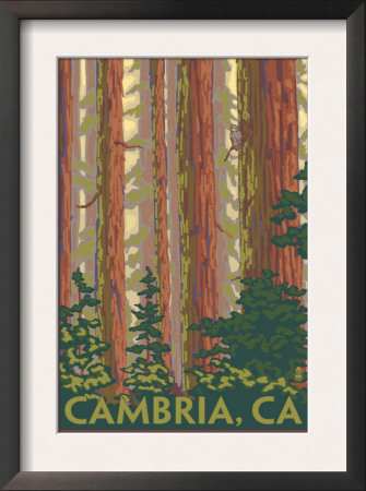 Cambria, California - Redwoods, C.2009 by Lantern Press Pricing Limited Edition Print image