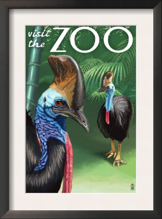 Cassowary - Visit The Zoo, C.2009 by Lantern Press Pricing Limited Edition Print image
