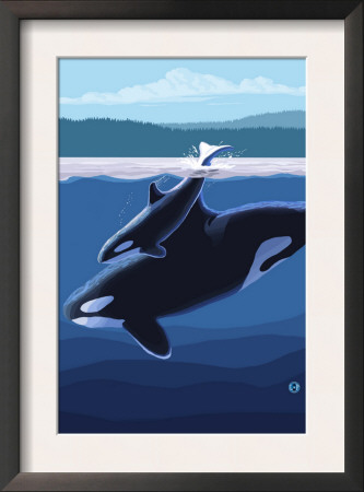Orca And Calf, C.2009 by Lantern Press Pricing Limited Edition Print image