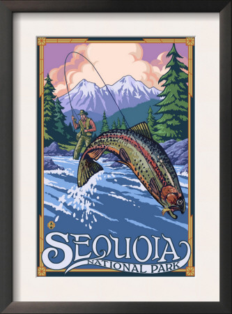 Sequoia Nat'l Park - Fly Fisherman - Lp Poster, C.2009 by Lantern Press Pricing Limited Edition Print image
