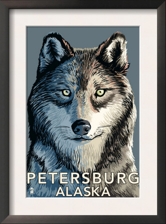 Wolf Up Close - Petersburg, Alaska, C.2009 by Lantern Press Pricing Limited Edition Print image
