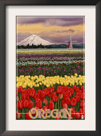 Oregon Tulip Farm, C.2009 by Lantern Press Pricing Limited Edition Print image