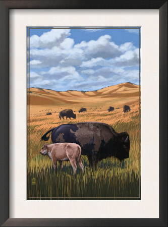 Buffalo Herd And Calf - Image Only, C.2008 by Lantern Press Pricing Limited Edition Print image