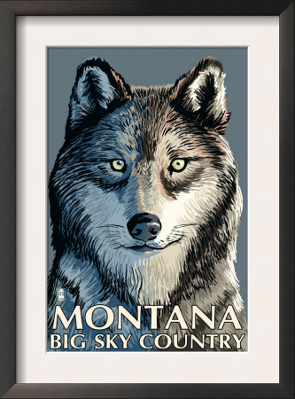 Wolf Up Close - Montana Big Sky, C.2009 by Lantern Press Pricing Limited Edition Print image