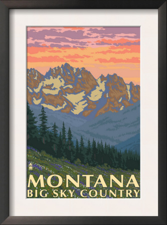 Montana - Big Sky Country - Spring Flowers, C.2008 by Lantern Press Pricing Limited Edition Print image
