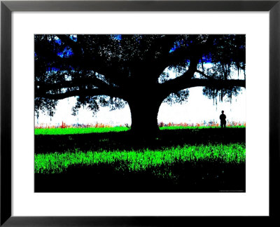 Figure Standing Under A Tree, North Florida by Pat Canova Pricing Limited Edition Print image