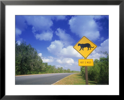Road Sign Of Animal Crossing, Fl by Peter Adams Pricing Limited Edition Print image