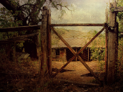 Shack #2 by Tracy Edgar Pricing Limited Edition Print image