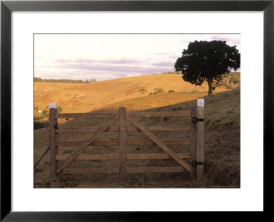 Rural Area, Canta Galo, Atlantic Wood, Rj Brazil by Silvestre Machado Pricing Limited Edition Print image