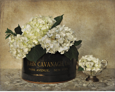 Park Avenue Hydrangea by Cristin Atria Pricing Limited Edition Print image